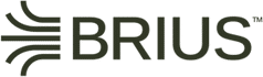 BRIUS System